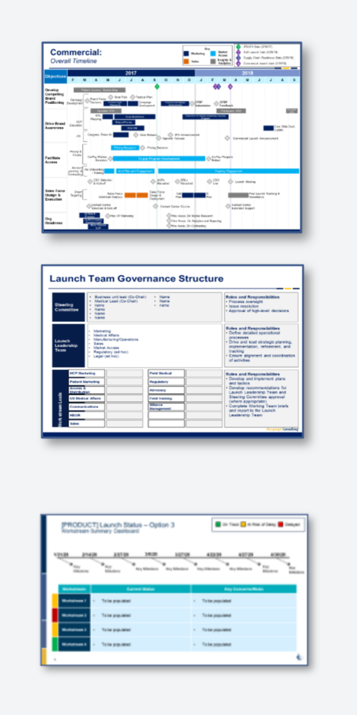 Alliance Launch co-commercialization case study
